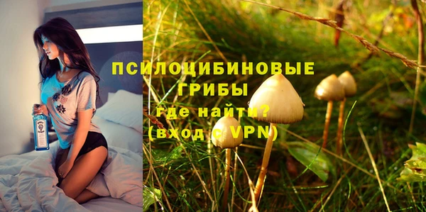 соль ск Гусиноозёрск