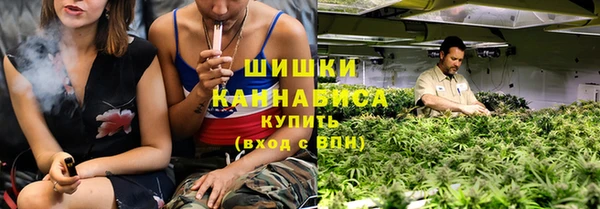стафф Гусь-Хрустальный